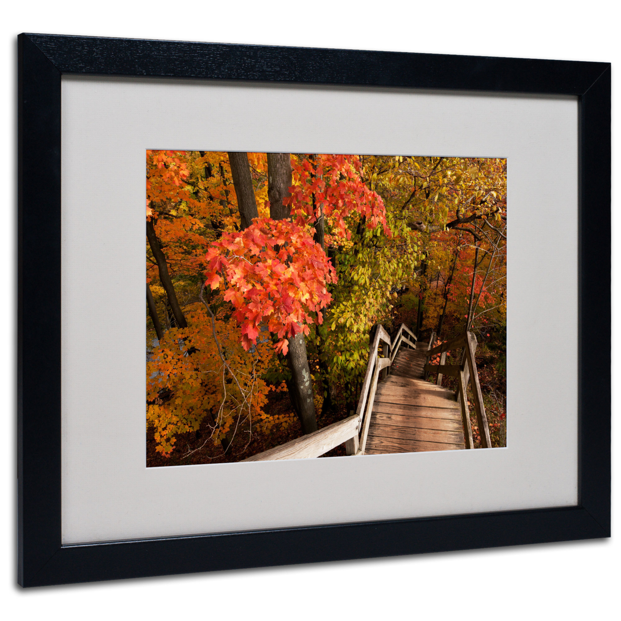 Kurt Shaffer 'Brilliant Autumn Stairway' Black Wooden Framed Art 18 X 22 Inches