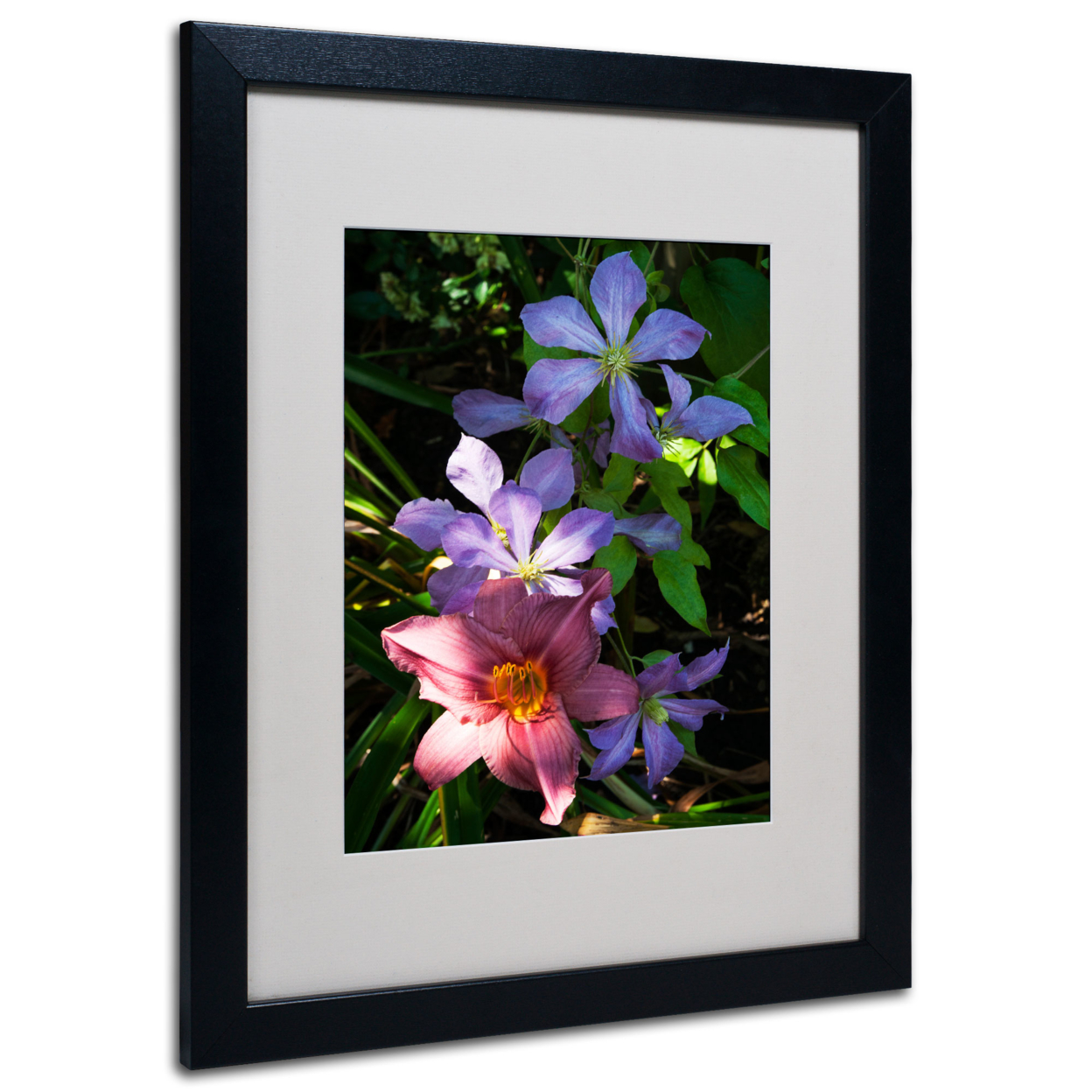 Kurt Shaffer 'Clematis And Lily' Black Wooden Framed Art 18 X 22 Inches