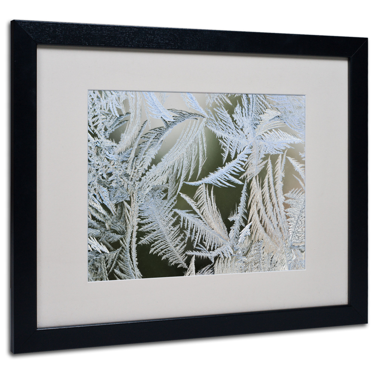 Kurt Shaffer 'Frost Pattern #1' Black Wooden Framed Art 18 X 22 Inches