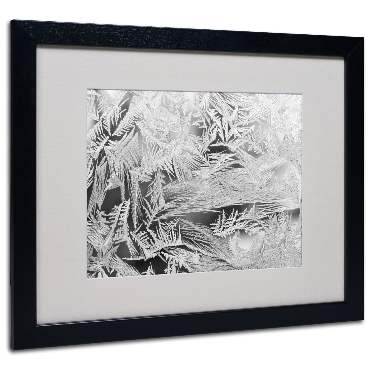 Kurt Shaffer 'Frost Pattern #2' Black Wooden Framed Art 18 X 22 Inches