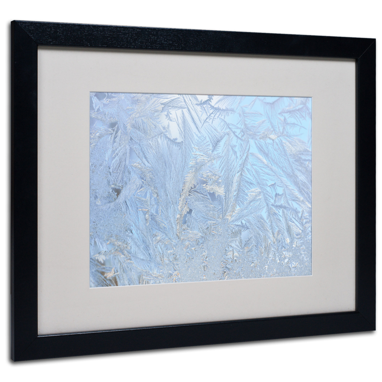 Kurt Shaffer 'Frost Pattern #3' Black Wooden Framed Art 18 X 22 Inches