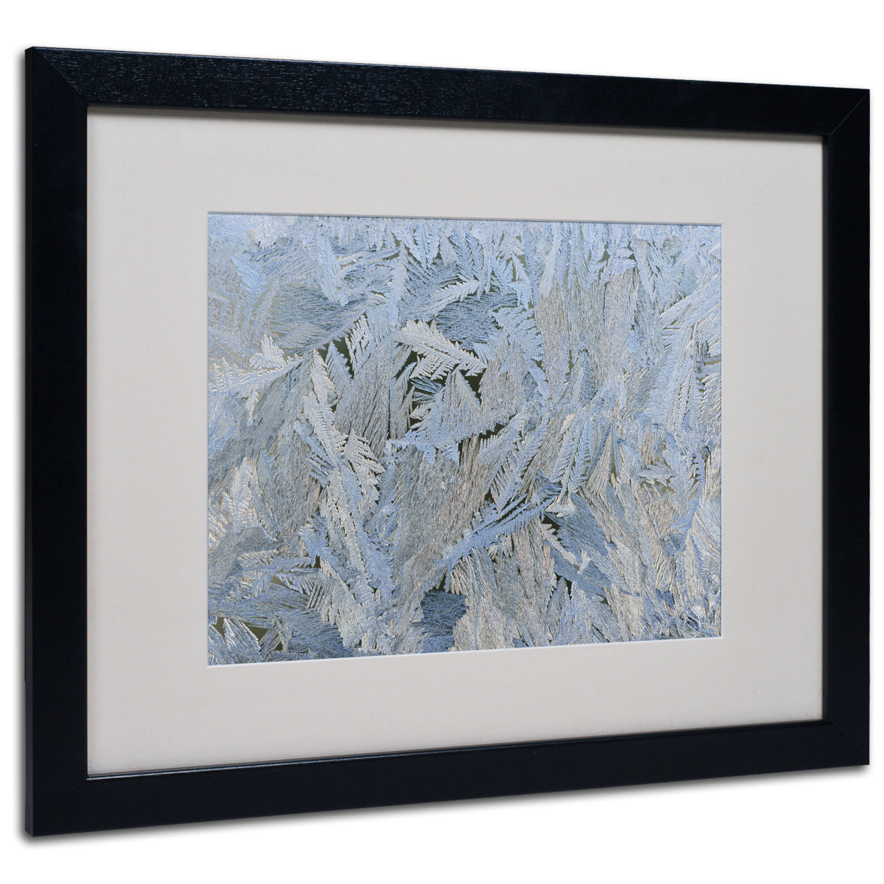 Kurt Shaffer 'Frost Pattern #6' Black Wooden Framed Art 18 X 22 Inches