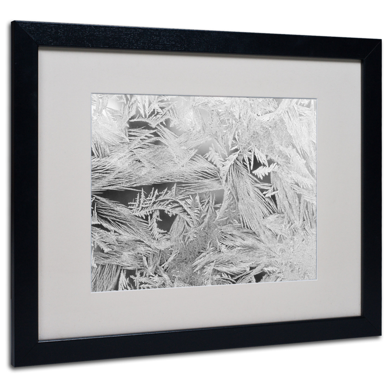 Kurt Shaffer 'Frost Pattern #4' Black Wooden Framed Art 18 X 22 Inches