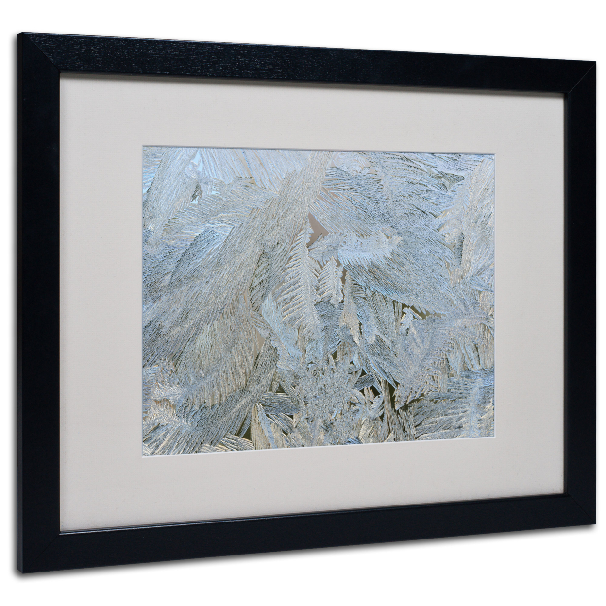 Kurt Shaffer 'Frost Pattern #5' Black Wooden Framed Art 18 X 22 Inches