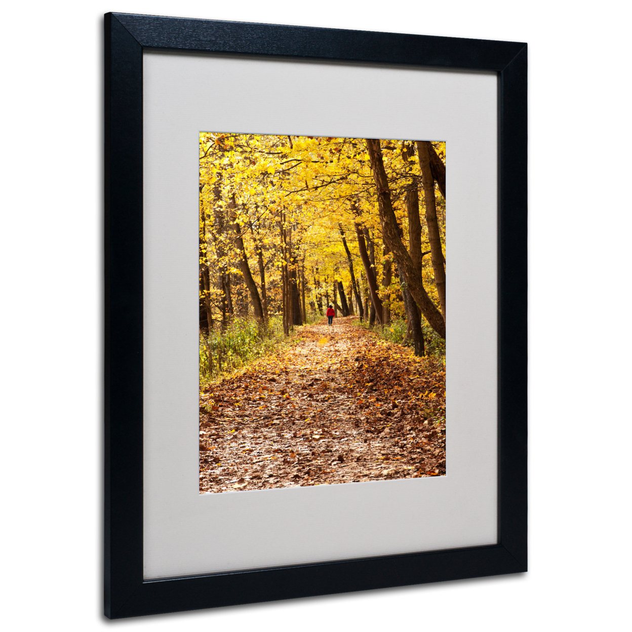 Kurt Shaffer 'Golden Autumn Walk' Black Wooden Framed Art 18 X 22 Inches