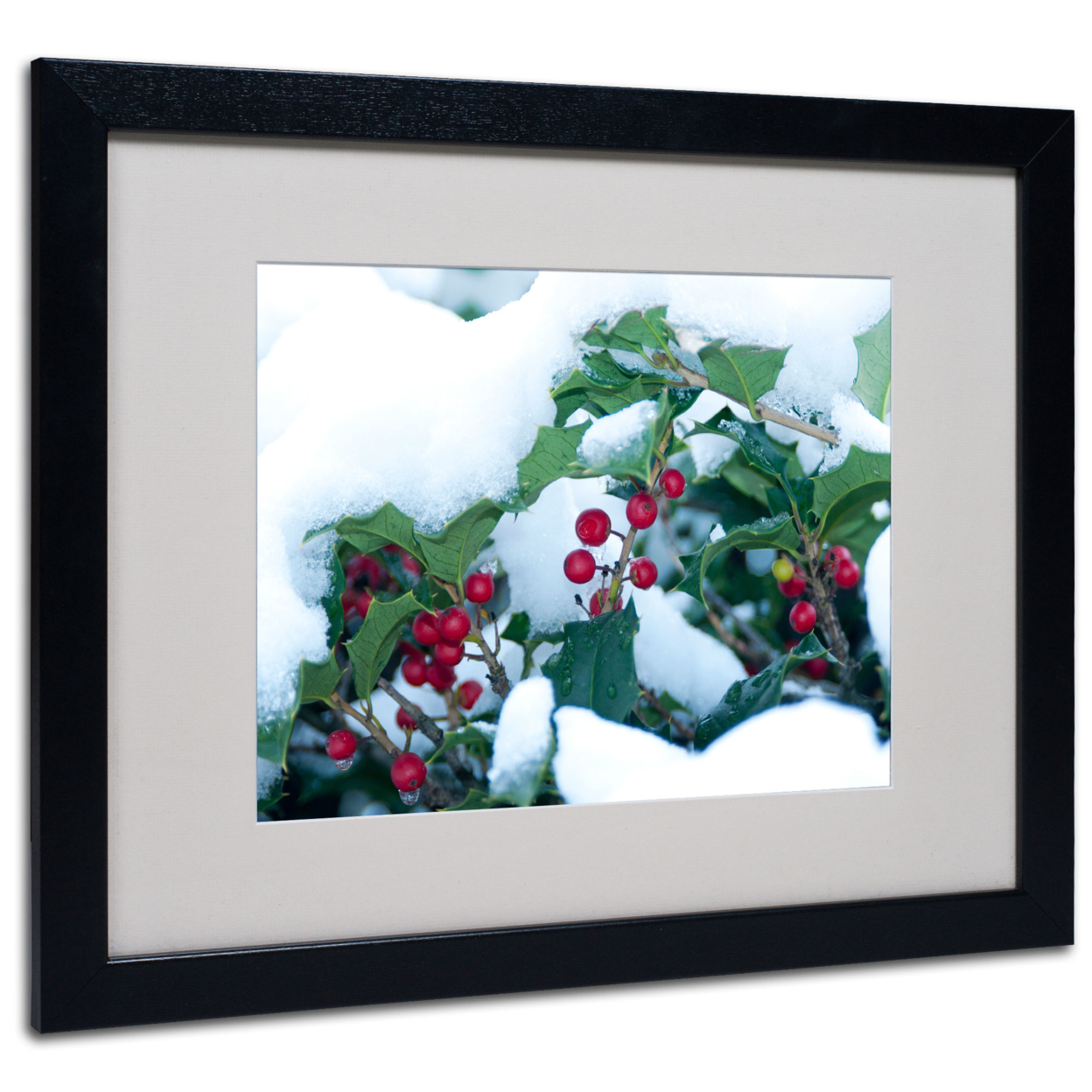 Kurt Shaffer 'Holly In The Snow' Black Wooden Framed Art 18 X 22 Inches