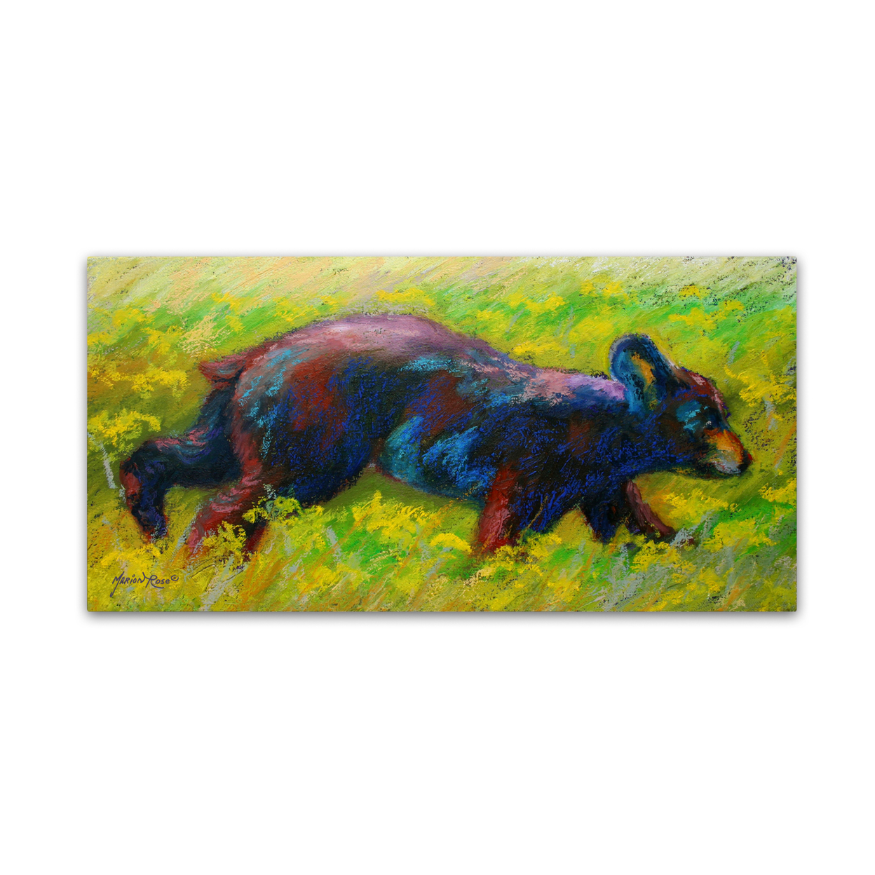 Marion Rose 'Run Free Cub' Ready To Hang Canvas Art 10 X 19 Inches Made In USA