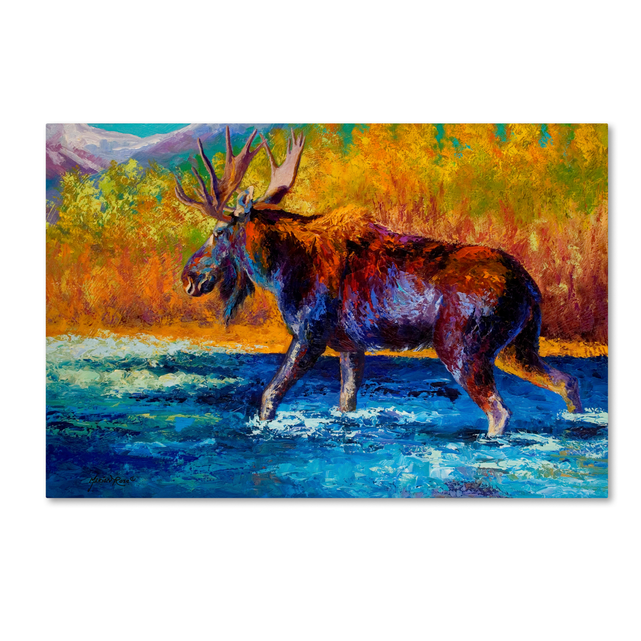 Marion Rose 'Autumns Glimpse Moose' Ready To Hang Canvas Art 12 X 19 Inches Made In USA