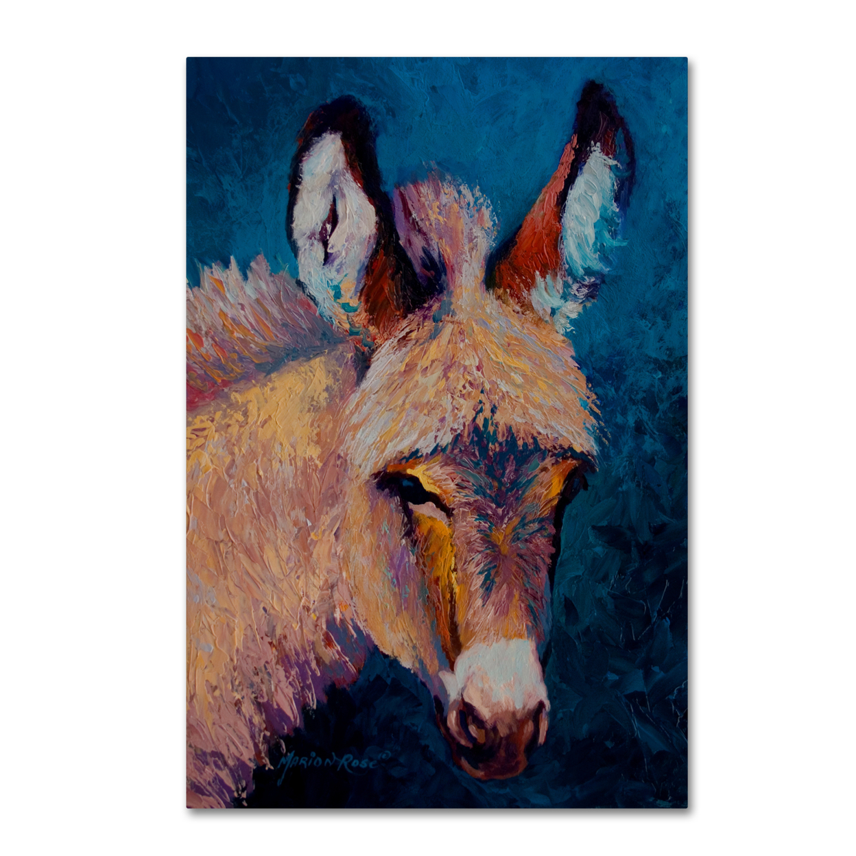 Marion Rose 'Burro 1' Ready To Hang Canvas Art 12 X 19 Inches Made In USA
