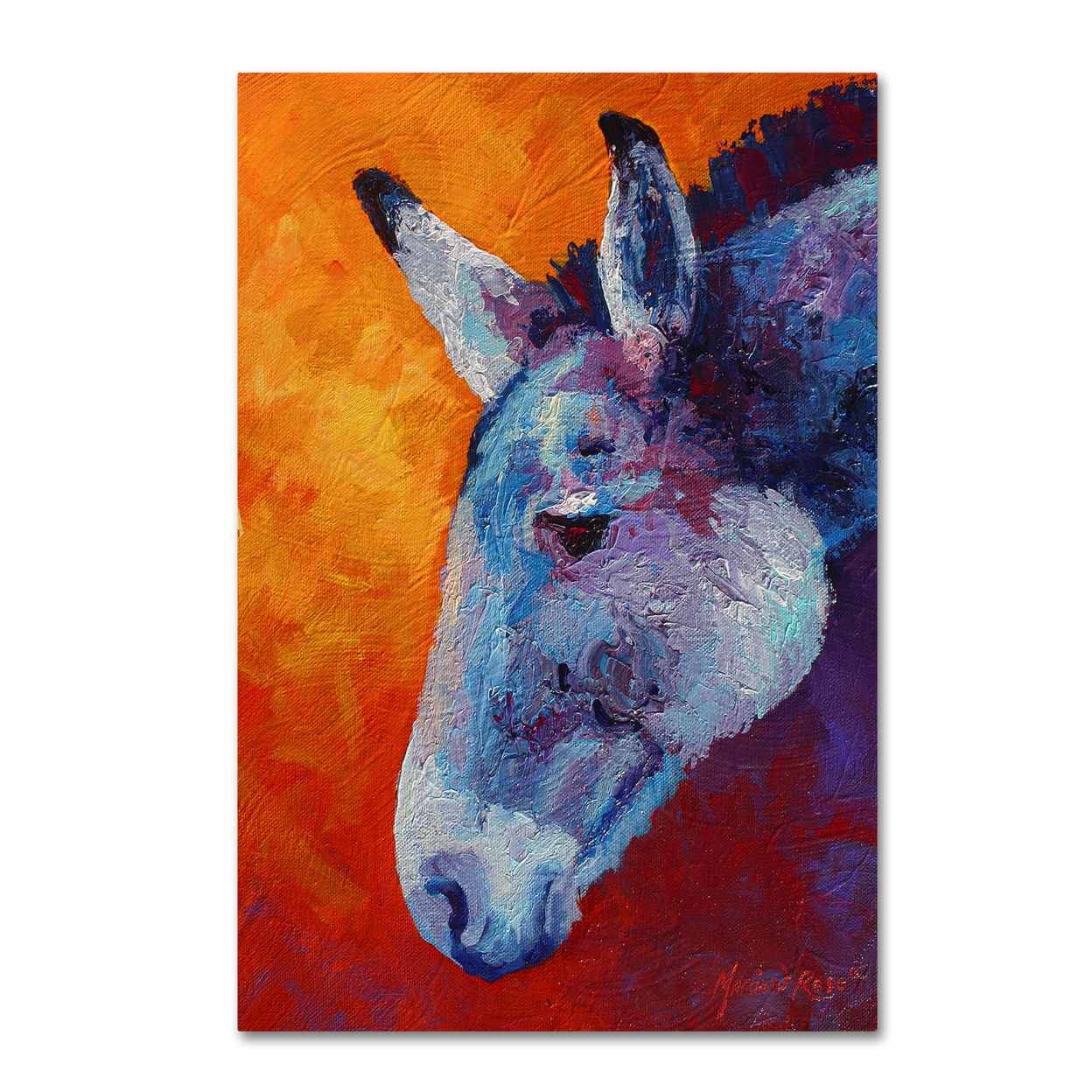 Marion Rose 'Burro IV' Ready To Hang Canvas Art 12 X 19 Inches Made In USA