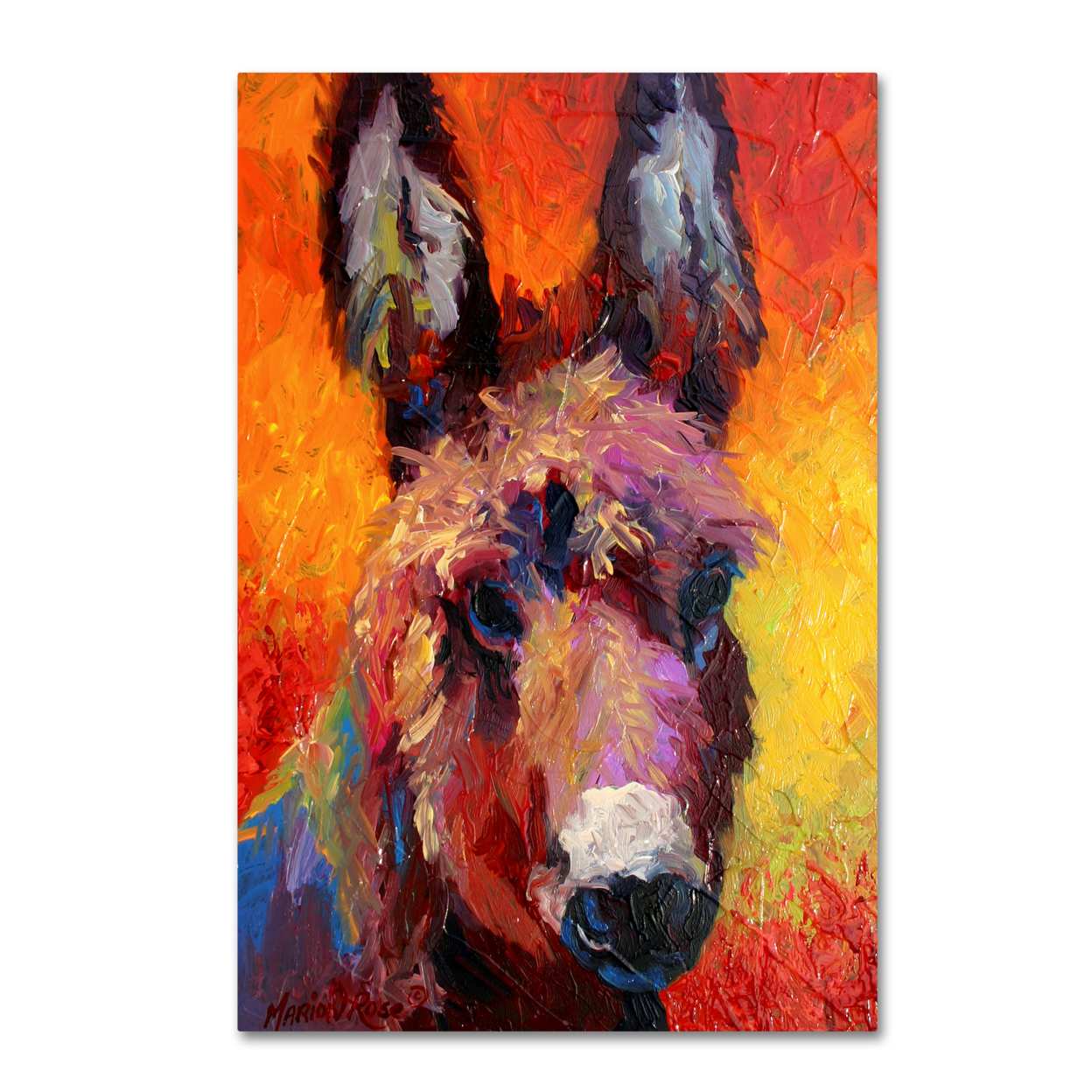 Marion Rose 'Donkey Portrait II' Ready To Hang Canvas Art 12 X 19 Inches Made In USA
