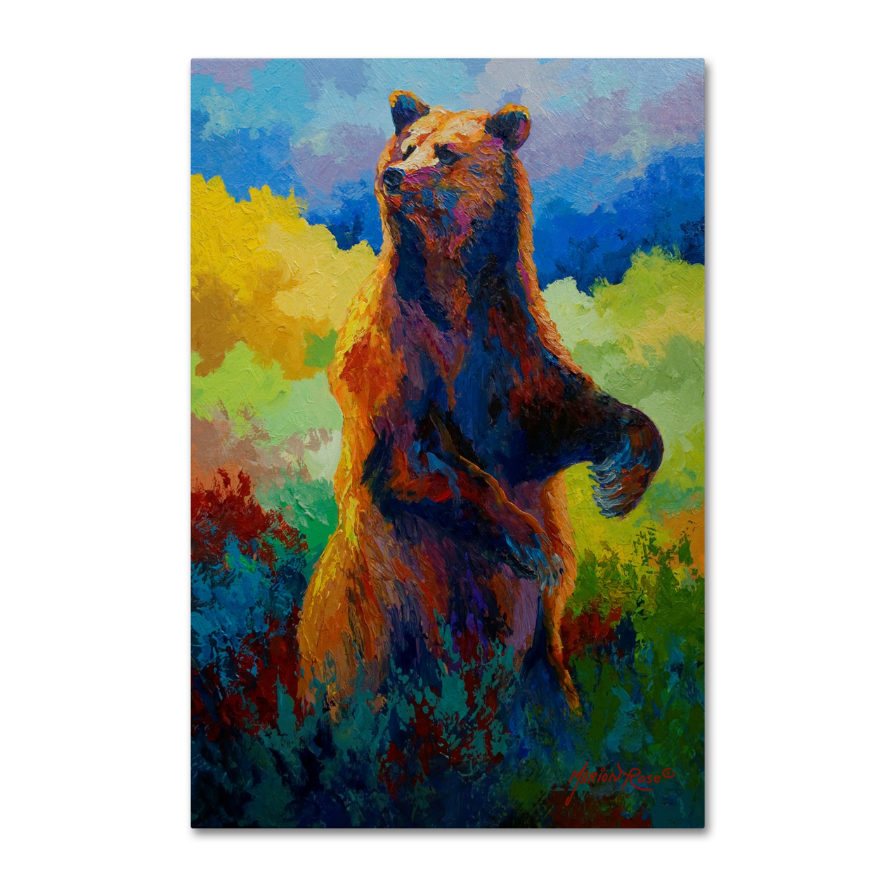 Marion Rose 'I Spy Grizz' Ready To Hang Canvas Art 12 X 19 Inches Made In USA