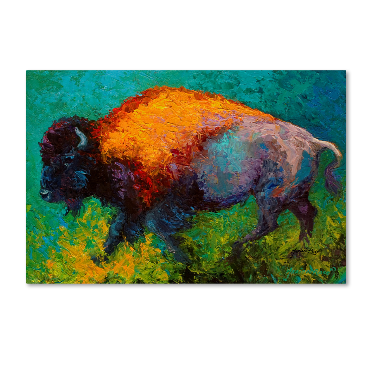 Marion Rose 'On The Run Bison' Ready To Hang Canvas Art 12 X 19 Inches Made In USA