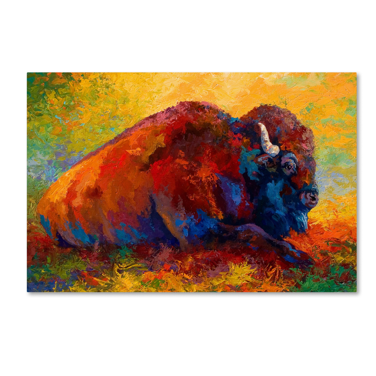 Marion Rose 'Spirit Brother I' Ready To Hang Canvas Art 12 X 19 Inches Made In USA