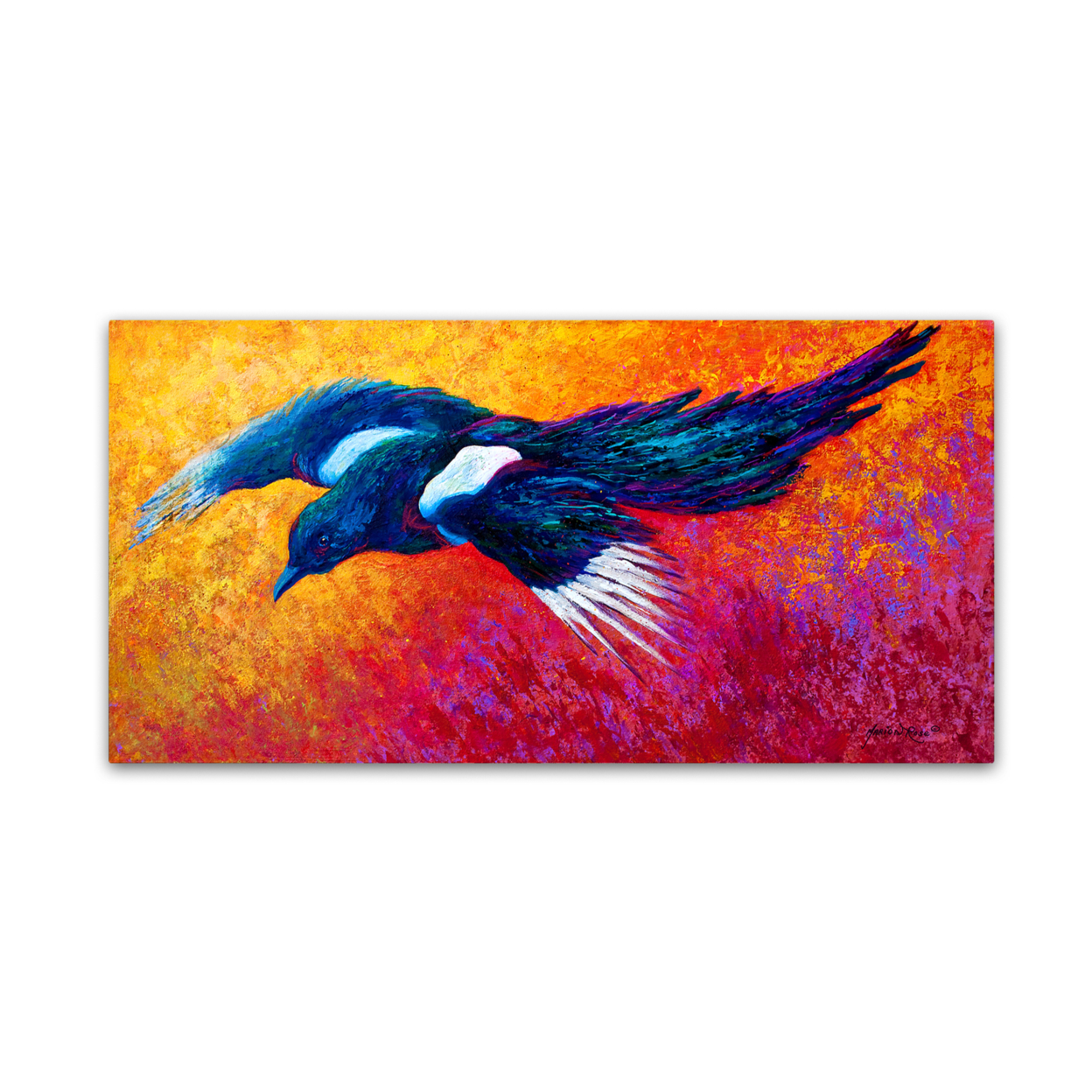 Marion Rose 'Pie In Flight' Ready To Hang Canvas Art 12 X 24 Inches Made In USA