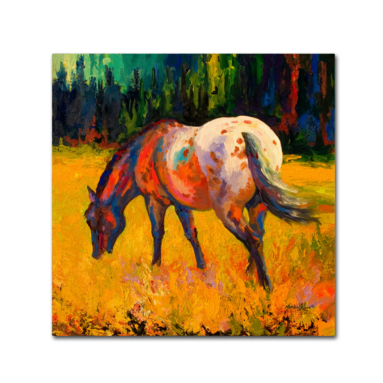 Marion Rose 'Appy II' Ready To Hang Canvas Art 14 X 14 Inches Made In USA