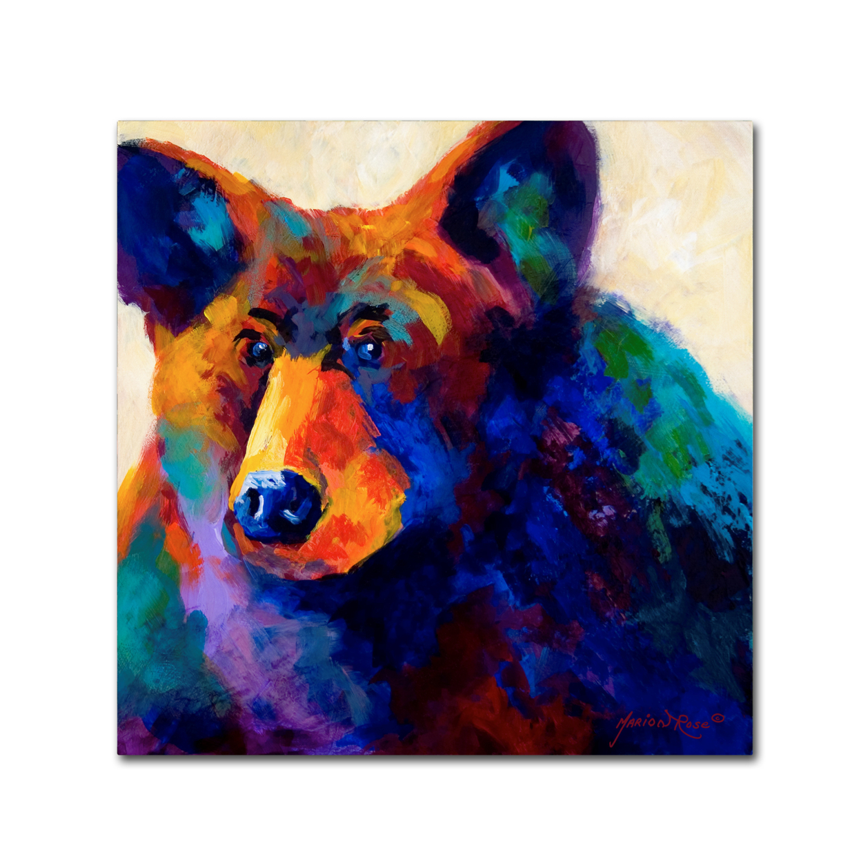 Marion Rose 'Beary Nice' Ready To Hang Canvas Art 14 X 14 Inches Made In USA