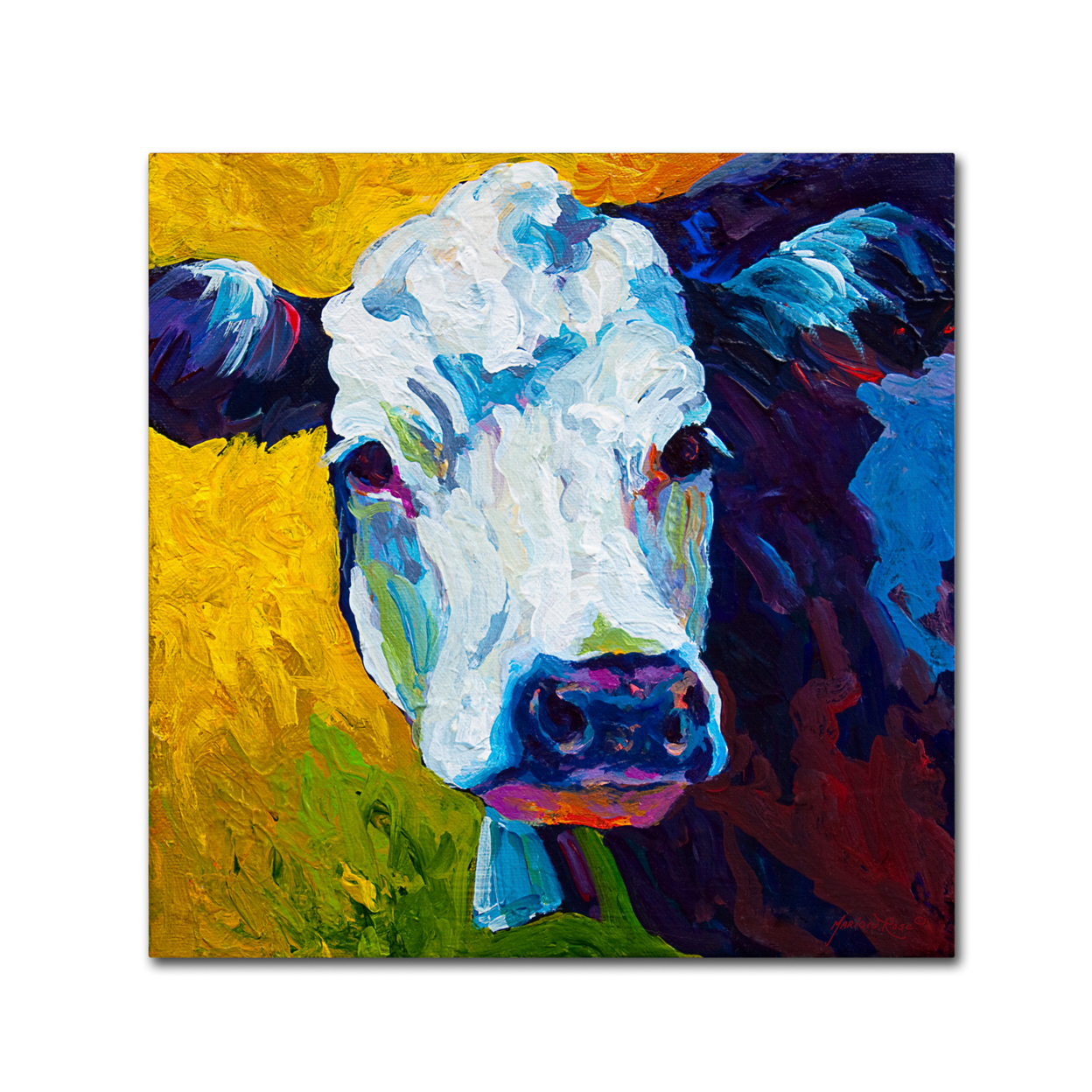 Marion Rose 'Belle' Ready To Hang Canvas Art 14 X 14 Inches Made In USA