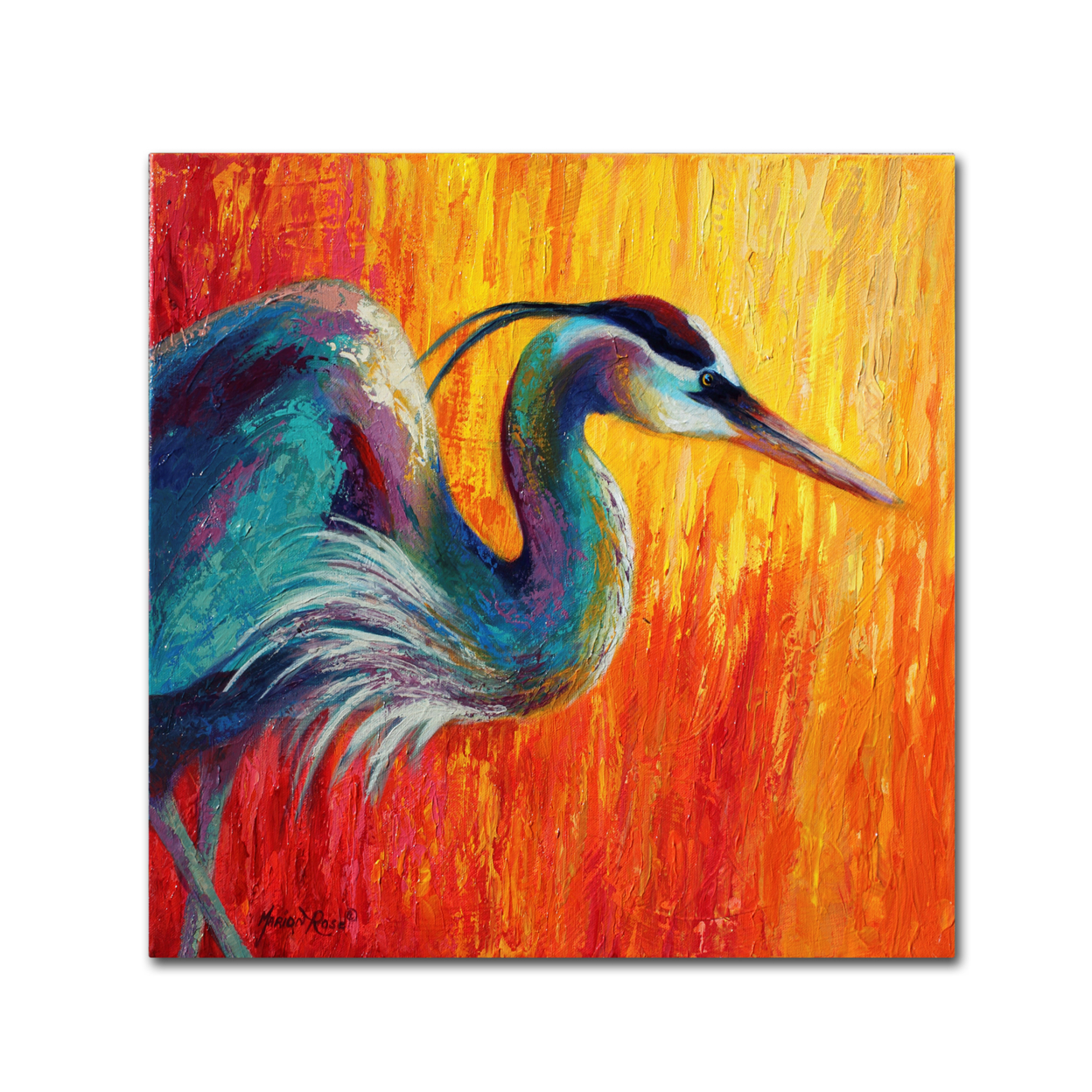 Marion Rose 'Blue Heron 1' Ready To Hang Canvas Art 14 X 14 Inches Made In USA