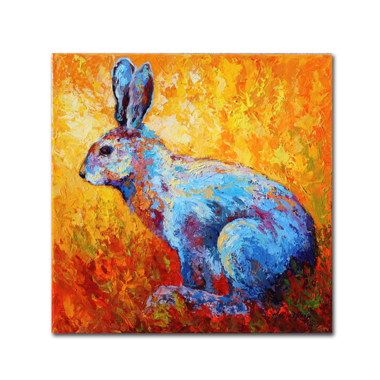Marion Rose 'Bunnie (krabbit)' Ready To Hang Canvas Art 14 X 14 Inches Made In USA