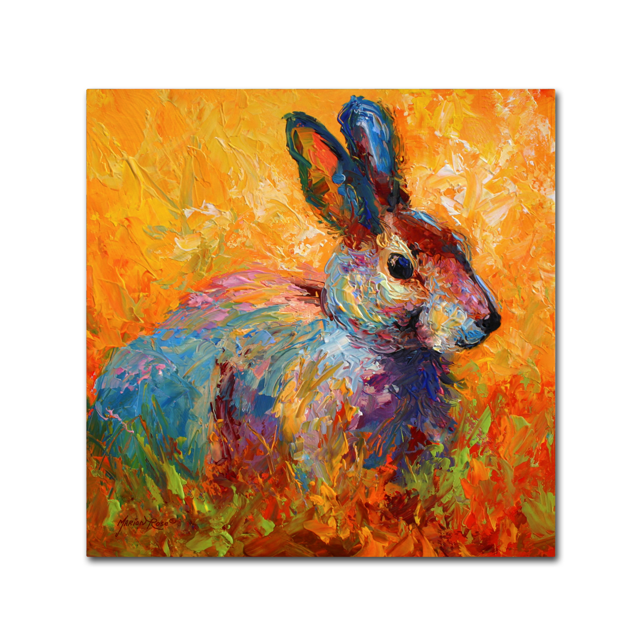 Marion Rose 'Bunny IV' Ready To Hang Canvas Art 14 X 14 Inches Made In USA