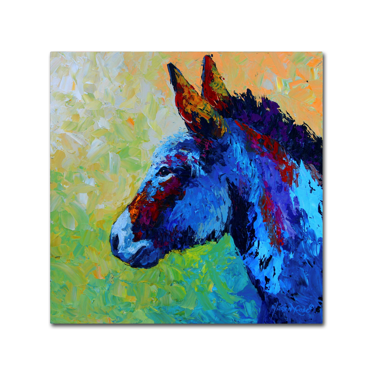 Marion Rose 'Burro' Ready To Hang Canvas Art 14 X 14 Inches Made In USA