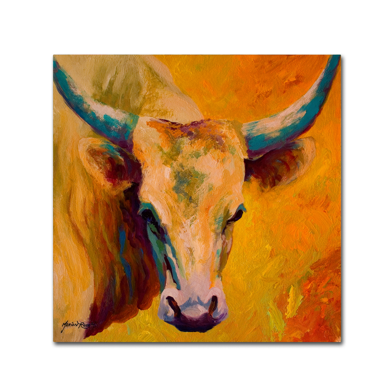 Marion Rose 'Creamy Texan' Ready To Hang Canvas Art 14 X 14 Inches Made In USA
