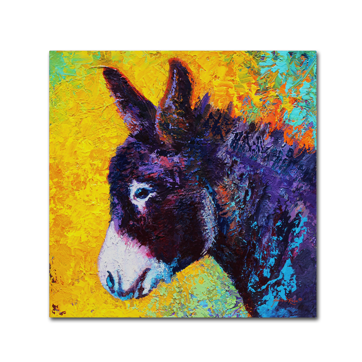 Marion Rose 'Donkey Sparky' Ready To Hang Canvas Art 14 X 14 Inches Made In USA