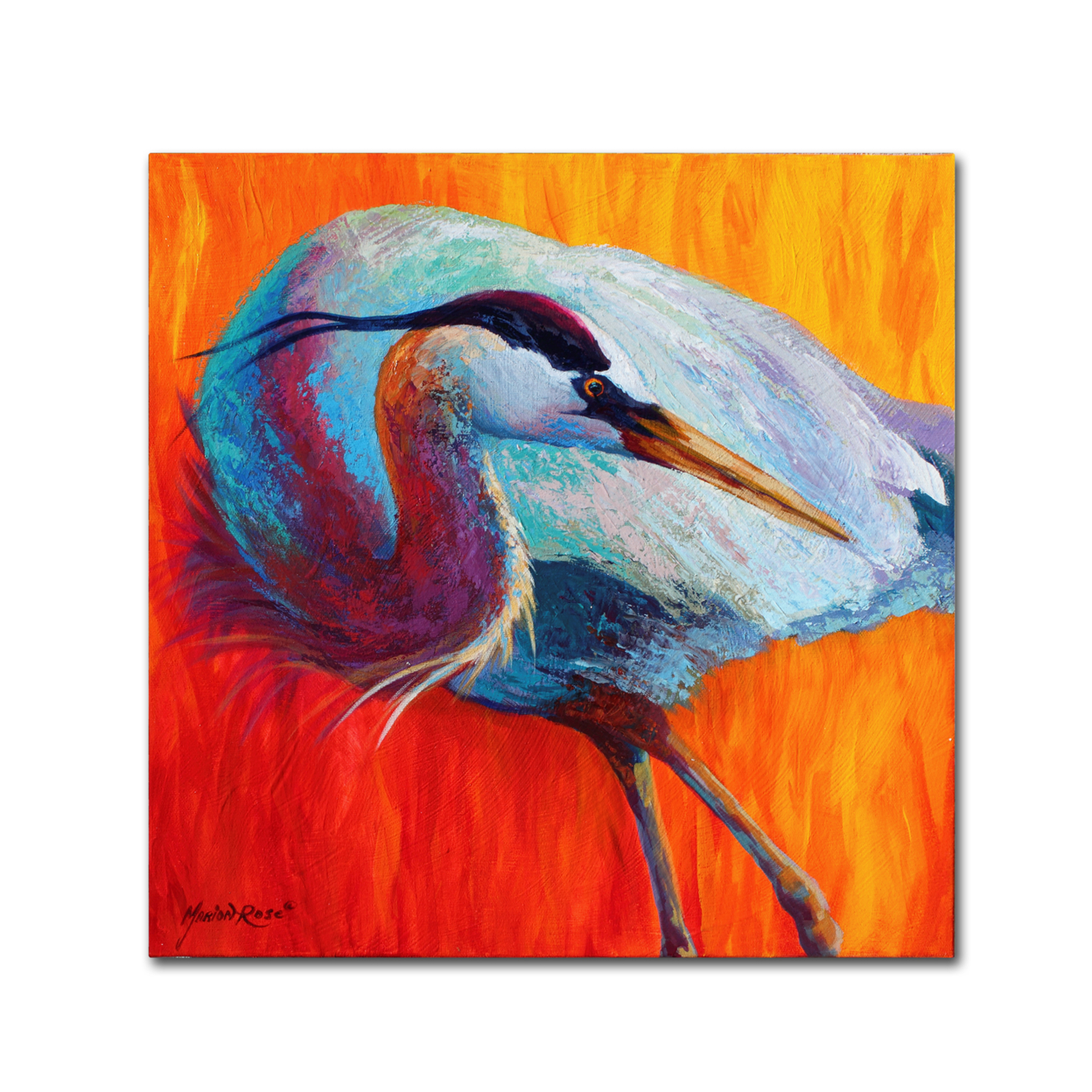 Marion Rose 'Glance Heron' Ready To Hang Canvas Art 14 X 14 Inches Made In USA
