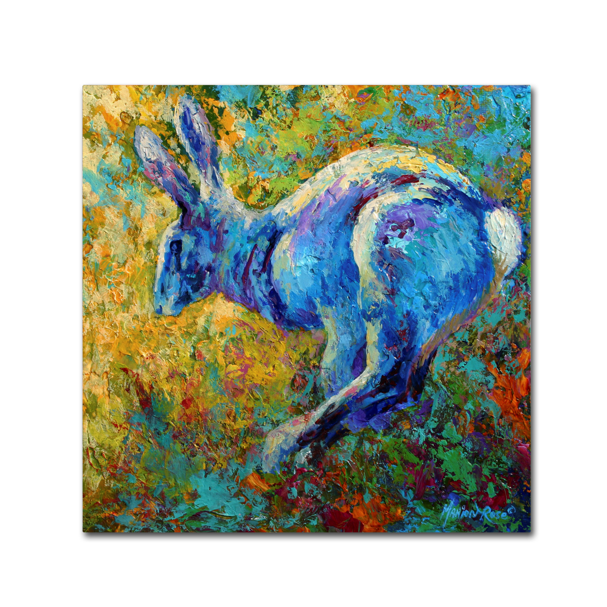 Marion Rose 'Hare' Ready To Hang Canvas Art 14 X 14 Inches Made In USA