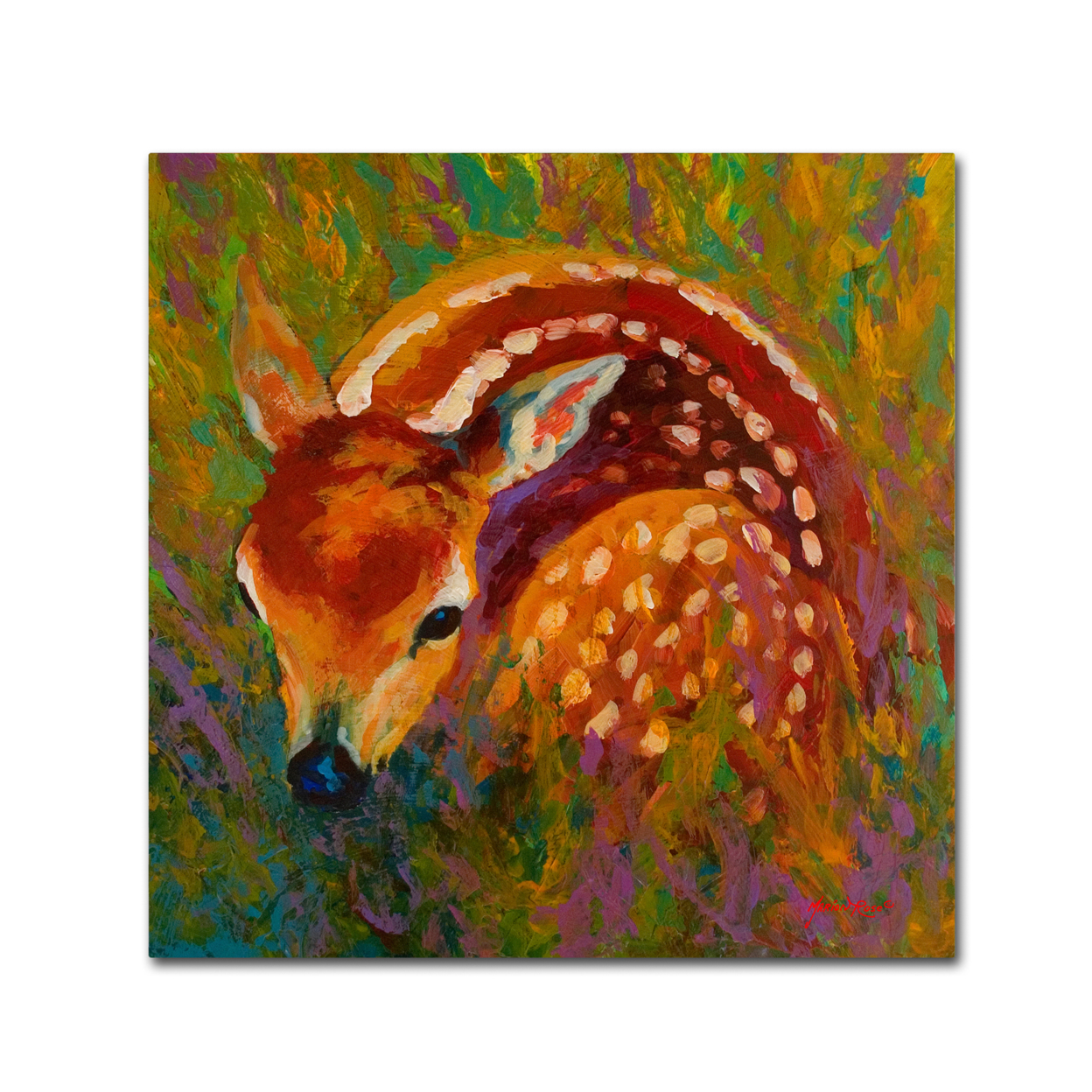 Marion Rose 'New Fawn' Ready To Hang Canvas Art 14 X 14 Inches Made In USA