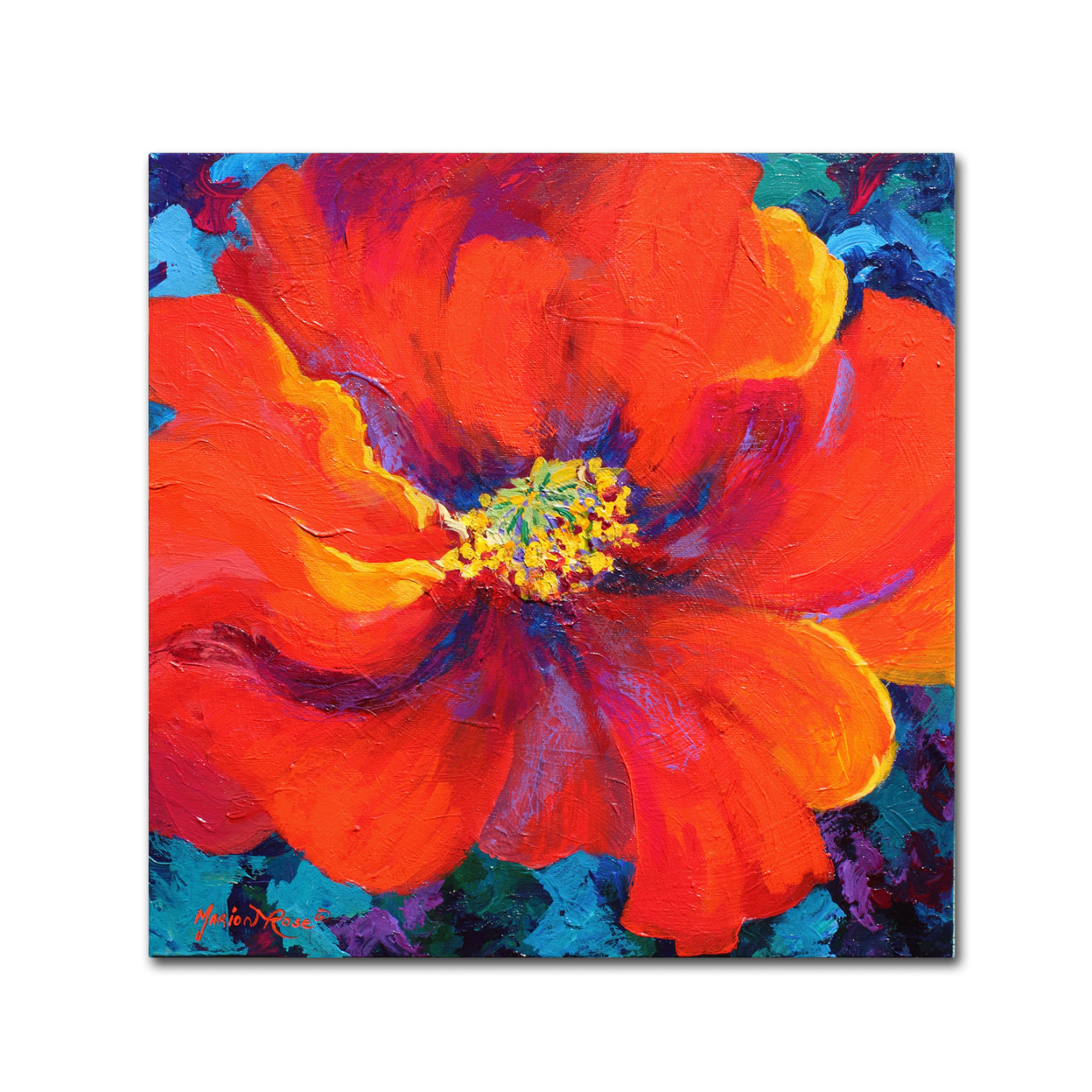 Marion Rose 'Passion Poppy' Ready To Hang Canvas Art 14 X 14 Inches Made In USA