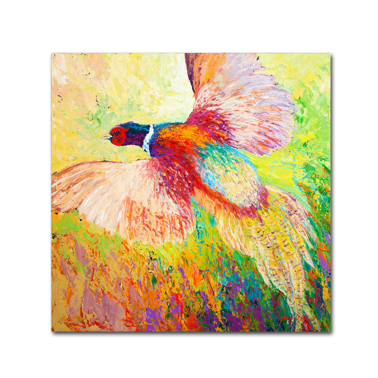 Marion Rose 'Pheasant 1' Ready To Hang Canvas Art 14 X 14 Inches Made In USA