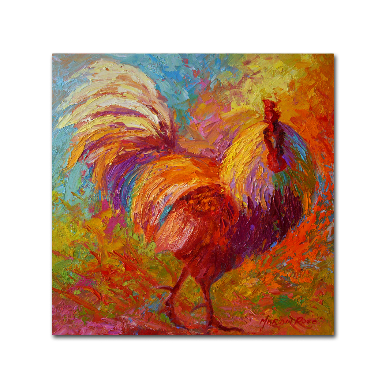 Marion Rose 'Rooster 6' Ready To Hang Canvas Art 14 X 14 Inches Made In USA