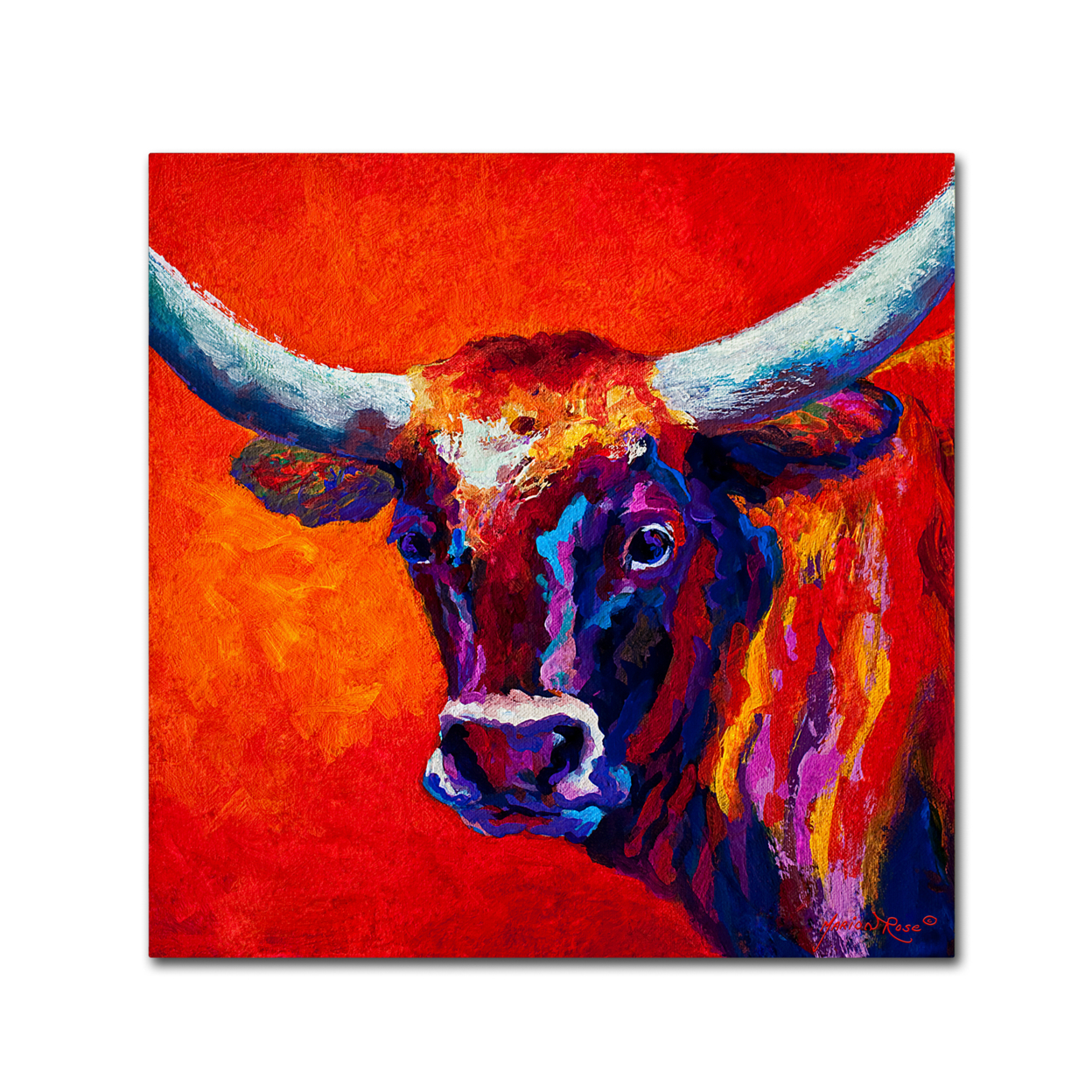 Marion Rose 'Steer' Ready To Hang Canvas Art 14 X 14 Inches Made In USA