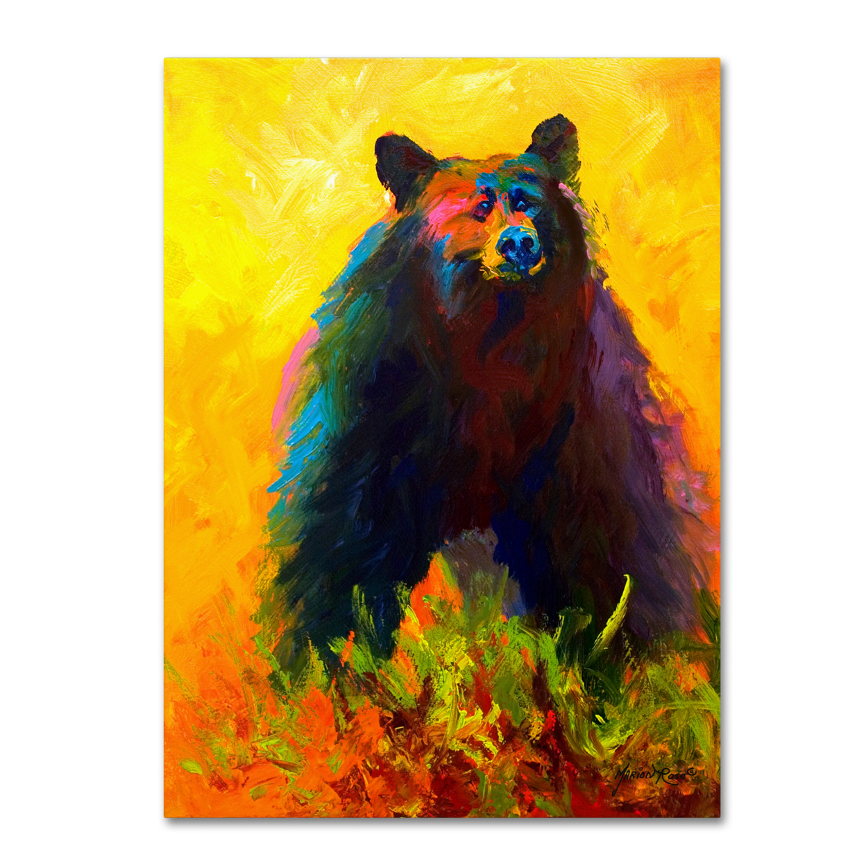 Marion Rose 'Alert' Ready To Hang Canvas Art 14 X 19 Inches Made In USA