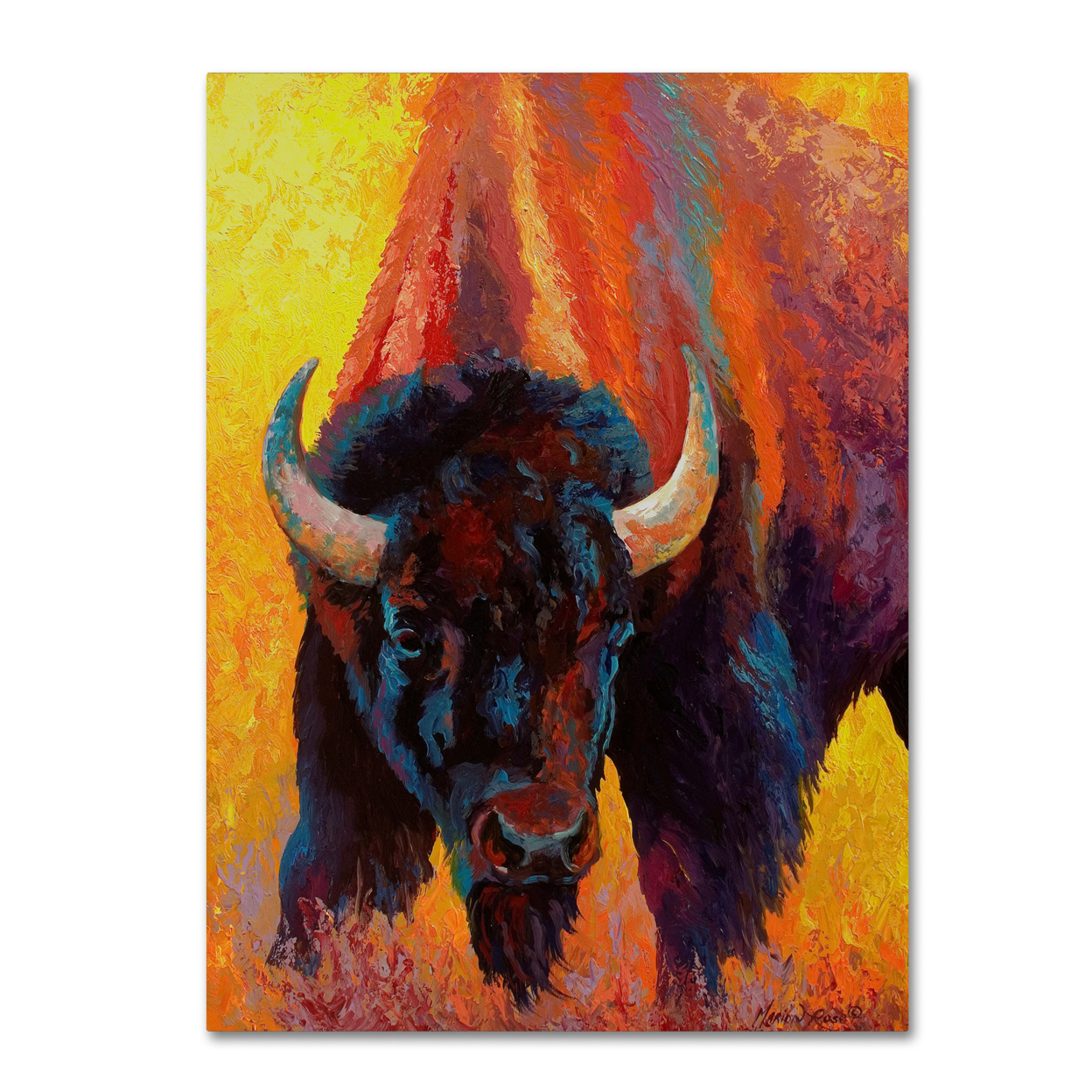 Marion Rose 'Back Off Bison' Ready To Hang Canvas Art 14 X 19 Inches Made In USA