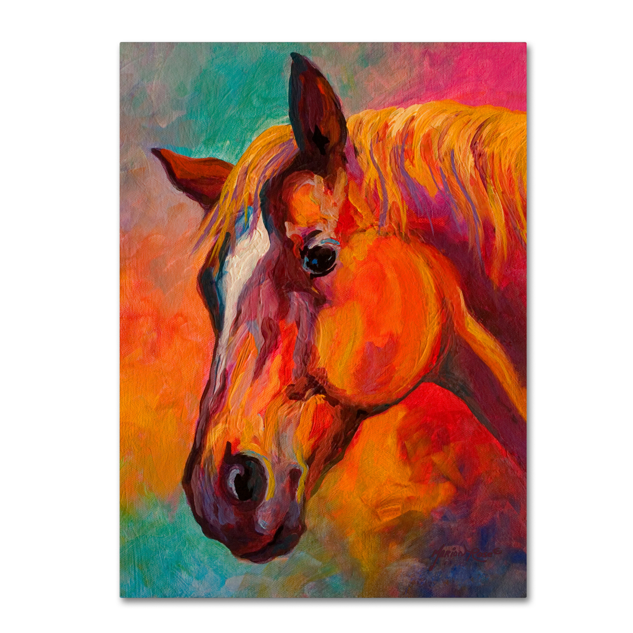 Marion Rose 'Bandit' Ready To Hang Canvas Art 14 X 19 Inches Made In USA