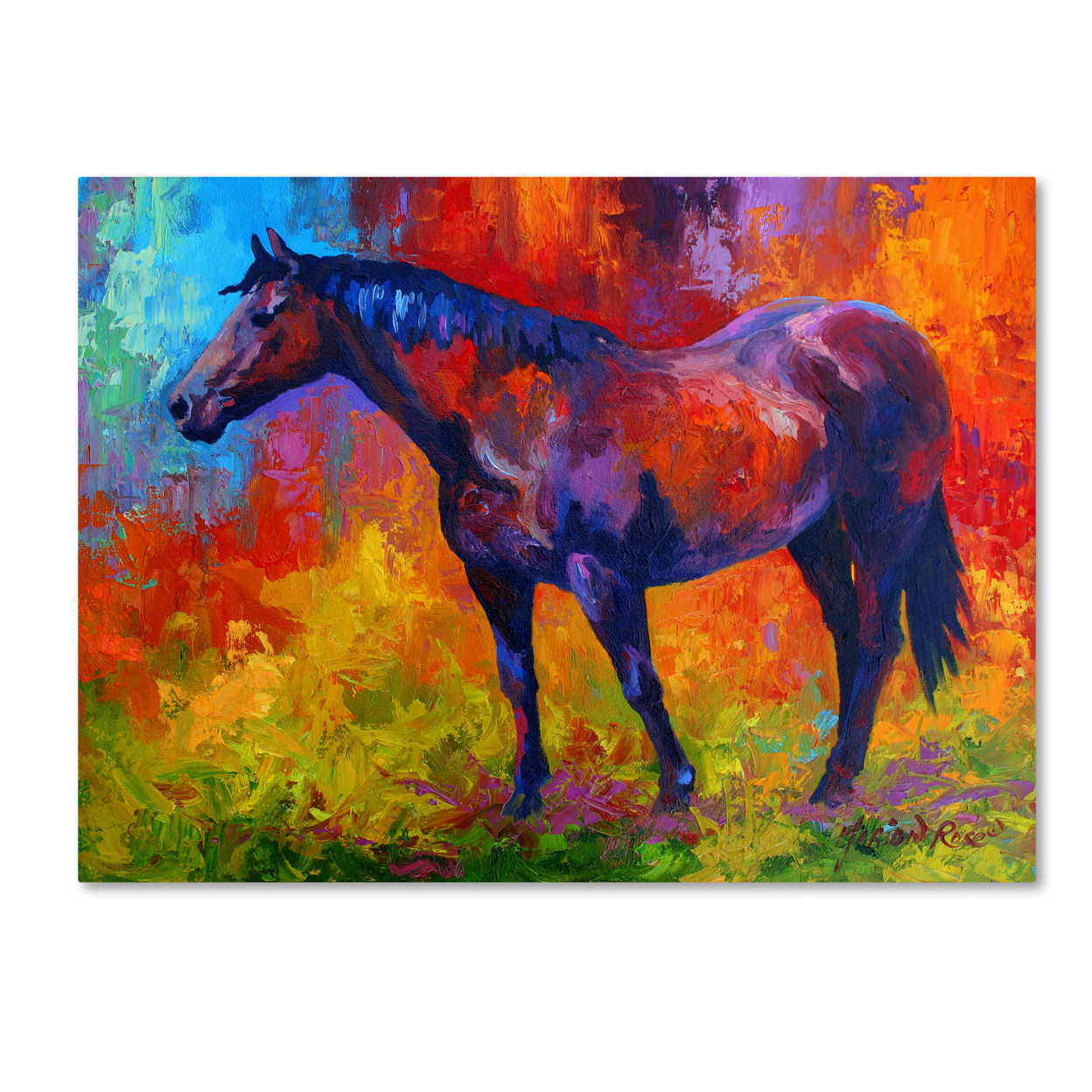 Marion Rose 'Bay Mare I' Ready To Hang Canvas Art 14 X 19 Inches Made In USA
