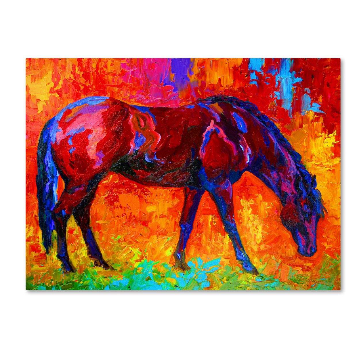 Marion Rose 'Bay Mare II' Ready To Hang Canvas Art 14 X 19 Inches Made In USA