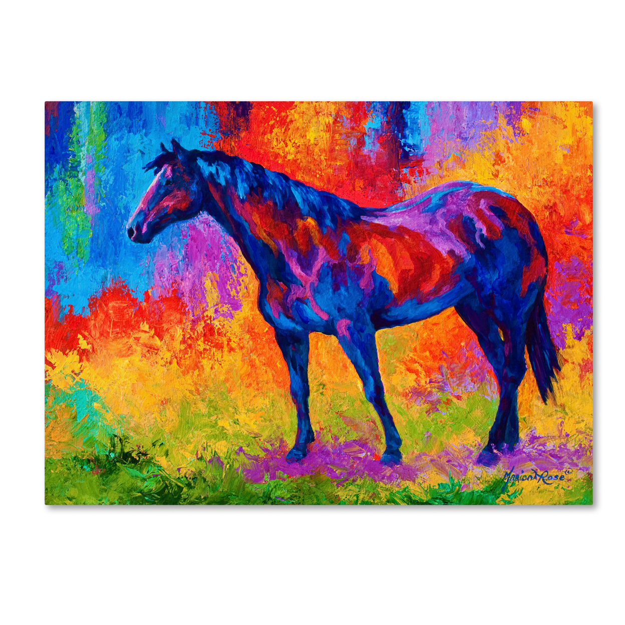 Marion Rose 'Bay Mare III' Ready To Hang Canvas Art 14 X 19 Inches Made In USA