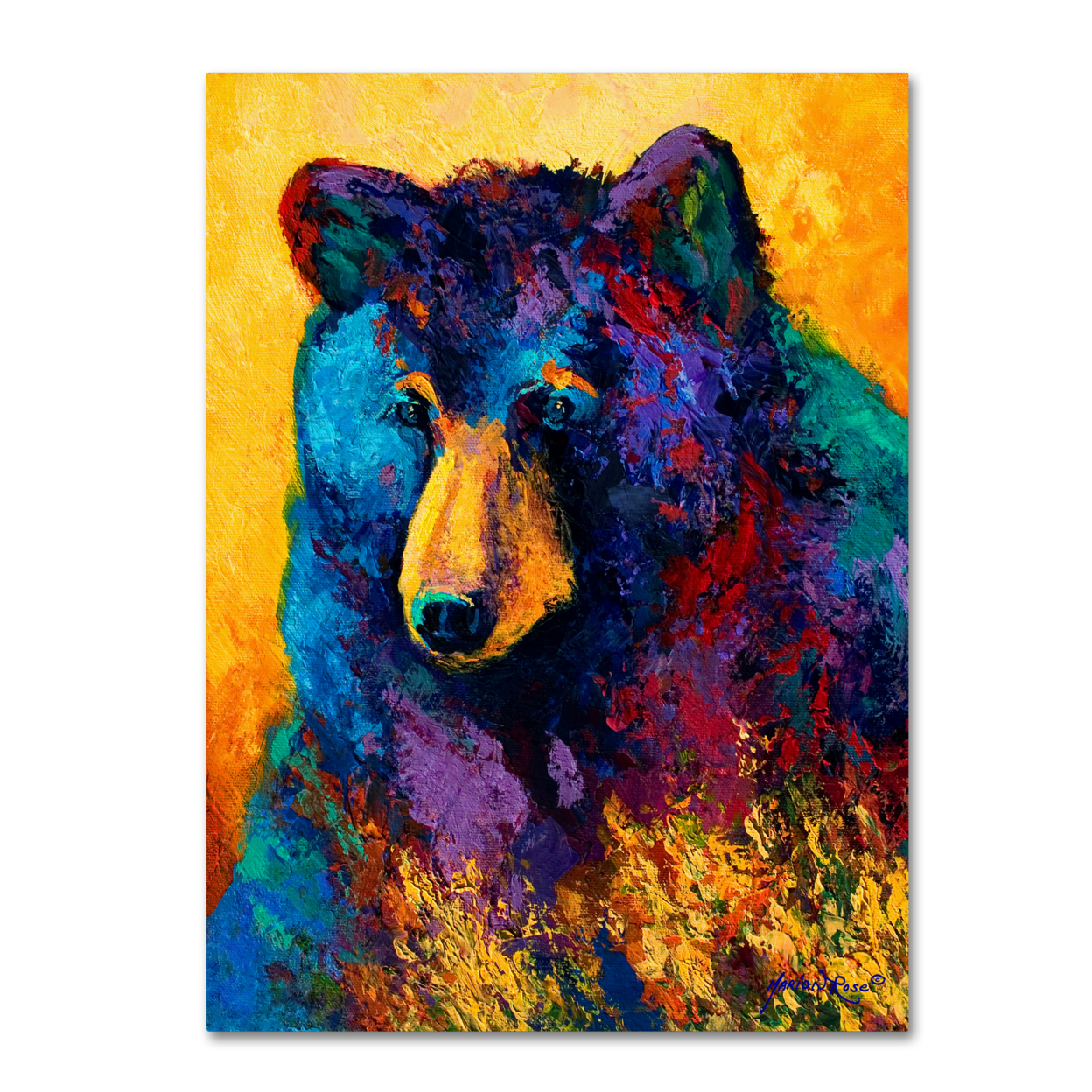 Marion Rose 'Bear Pause' Ready To Hang Canvas Art 14 X 19 Inches Made In USA