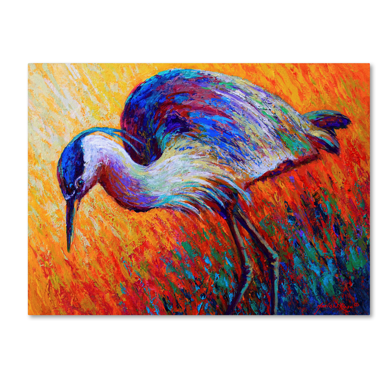 Marion Rose 'Bird Of Dreams' Ready To Hang Canvas Art 14 X 19 Inches Made In USA