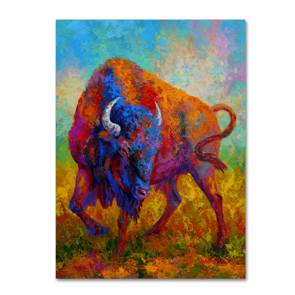 Marion Rose 'Bison Bull 1' Ready To Hang Canvas Art 14 X 19 Inches Made In USA