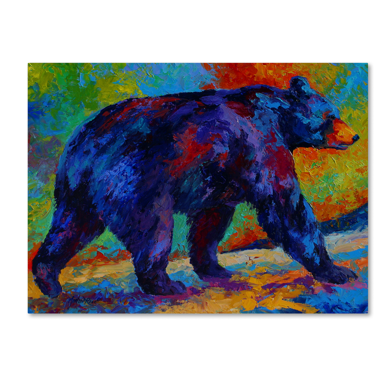 Marion Rose 'Black Bear 3' Ready To Hang Canvas Art 14 X 19 Inches Made In USA