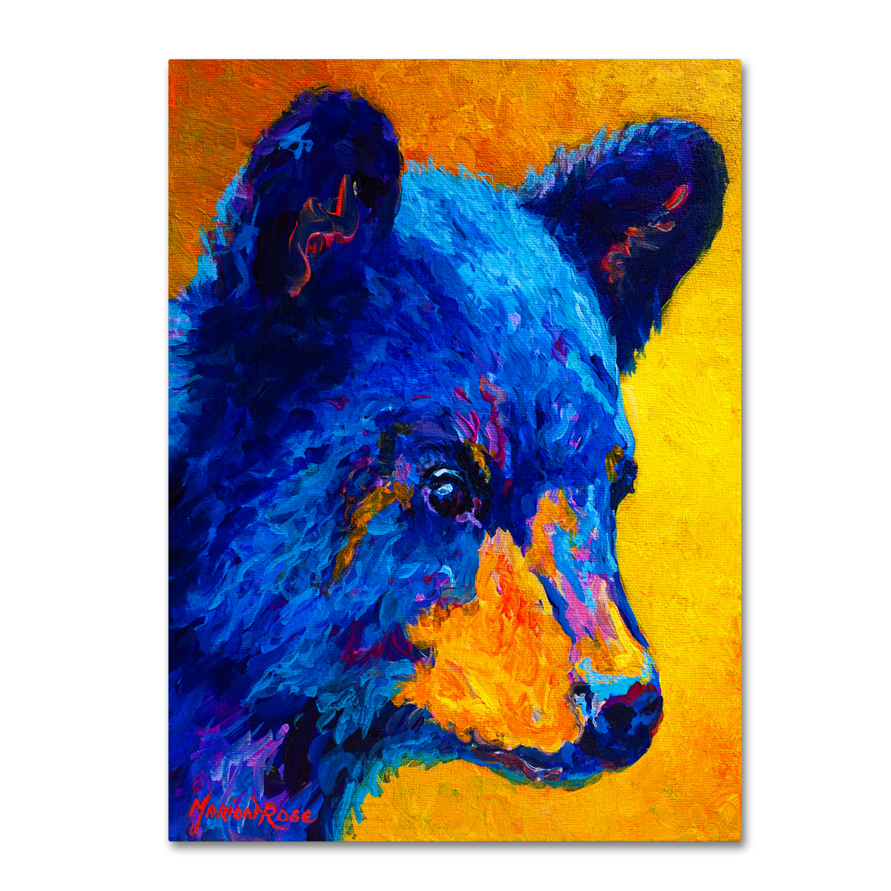 Marion Rose 'Black Bear Cub 2' Ready To Hang Canvas Art 14 X 19 Inches Made In USA
