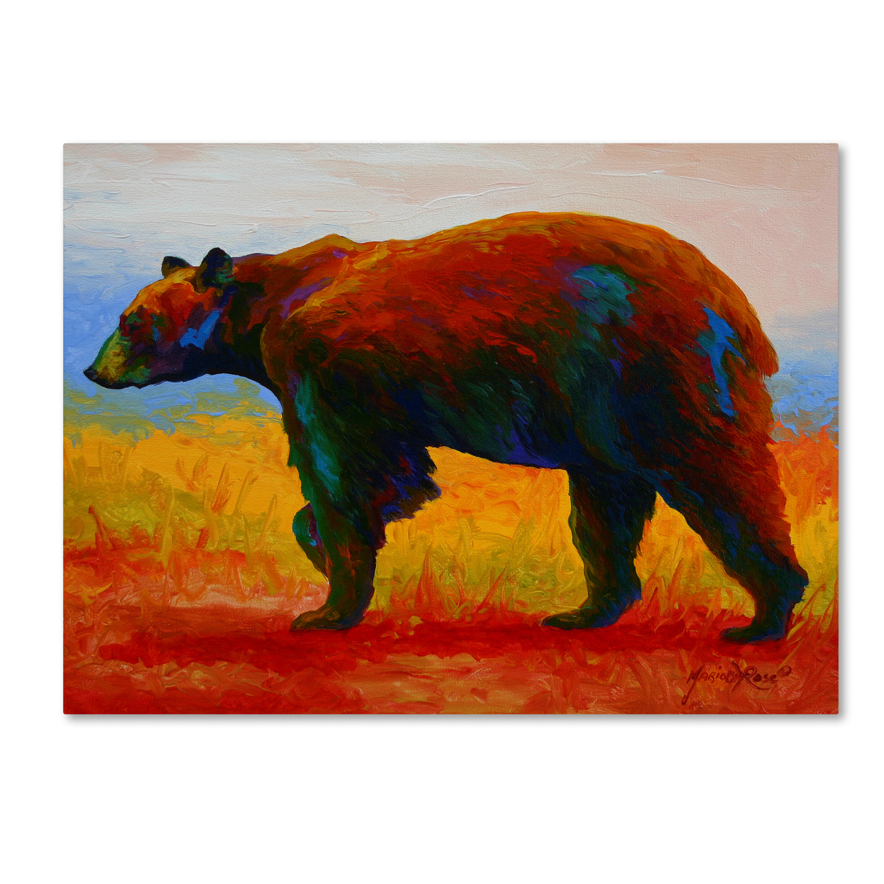 Marion Rose 'Blk Bear' Ready To Hang Canvas Art 14 X 19 Inches Made In USA