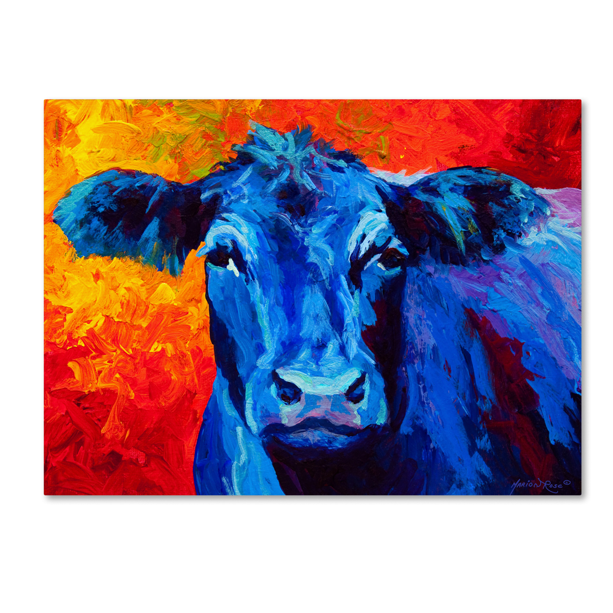 Marion Rose 'Blue Cow' Ready To Hang Canvas Art 14 X 19 Inches Made In USA