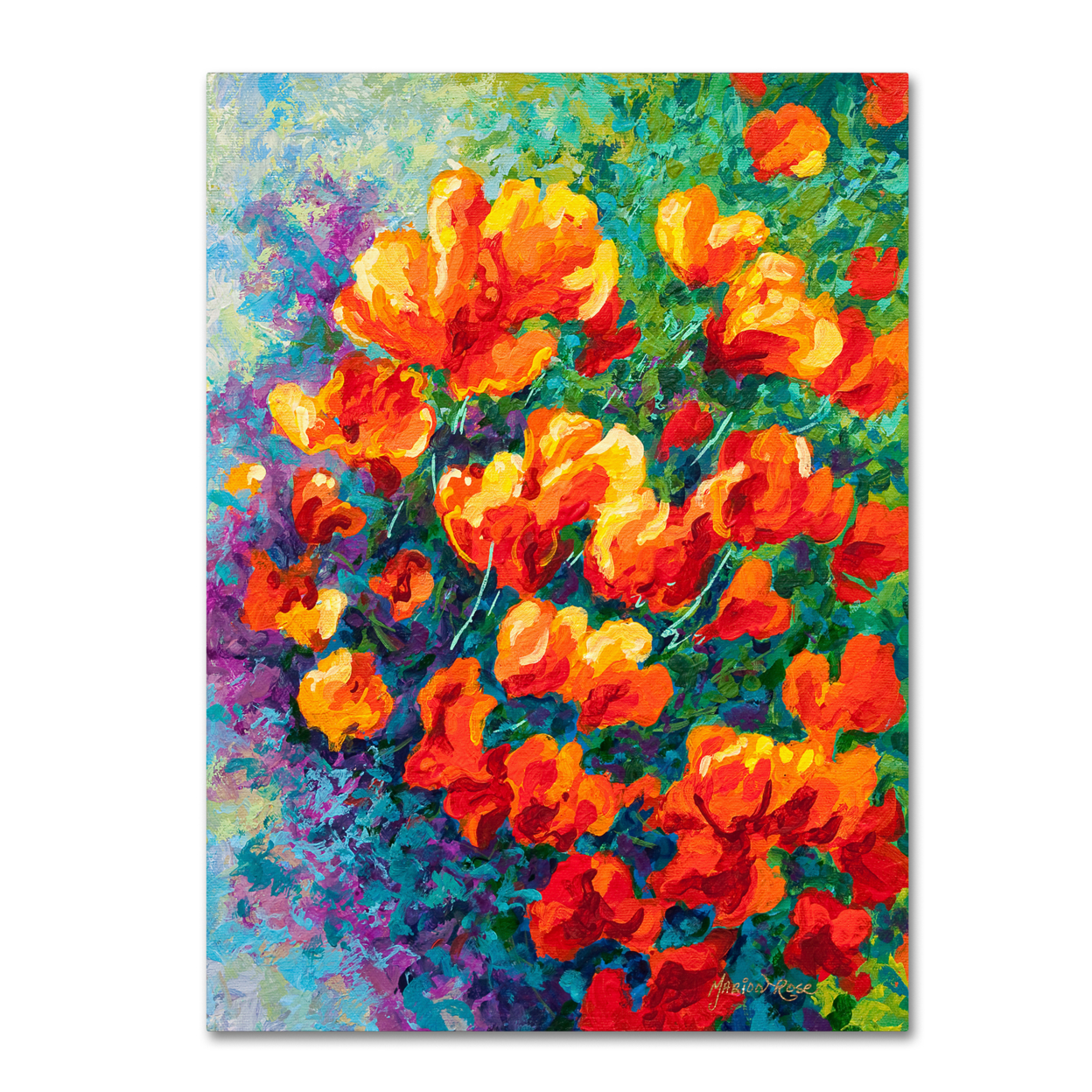 Marion Rose 'Cal Poppies' Ready To Hang Canvas Art 14 X 19 Inches Made In USA