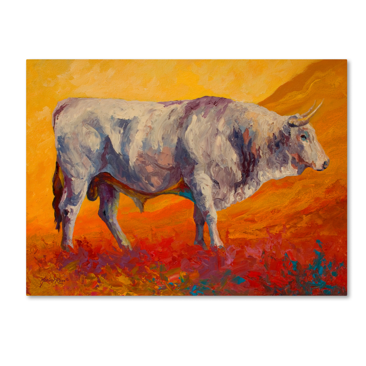 Marion Rose 'Bull Market' Ready To Hang Canvas Art 14 X 19 Inches Made In USA